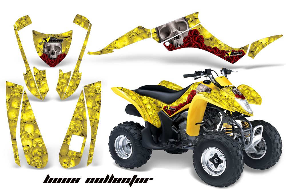 Suzuki LTZ250 Graphics Kit BC Y